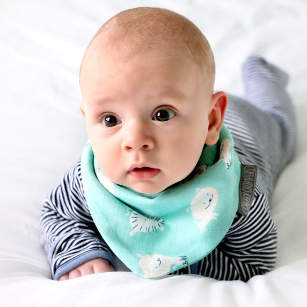 Lion & Pear Muslin Neckerbibs - Dribble Bib 2 Pack