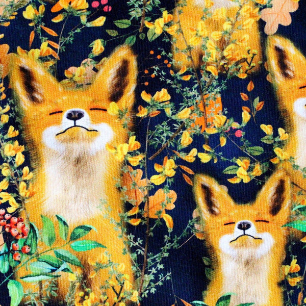 Dreamy Fox Tracksuit