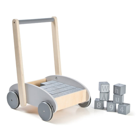 Baby Walker with Blocks