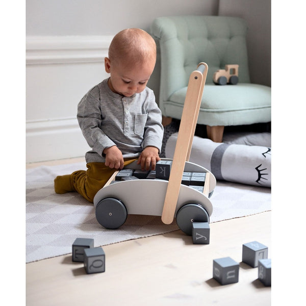 Baby Walker with Blocks